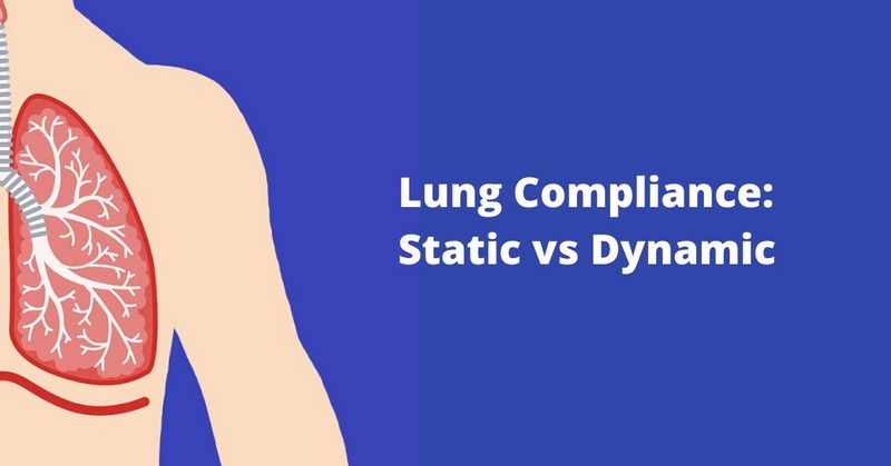 Lung Compliance_ Static vs Dynamic