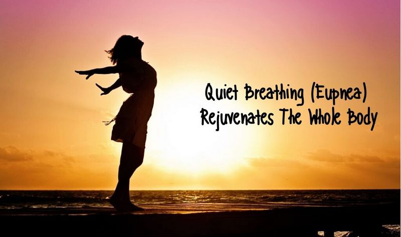 Quiet Breathing (Eupnea) Rejuvenates The Whole Body