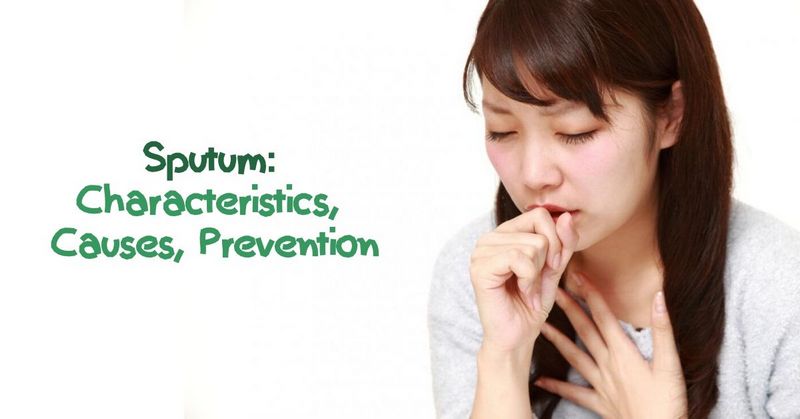 Sputum_ Characteristics, Causes, Prevention