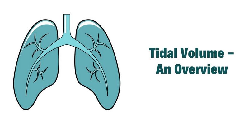 Tidal Volume - An Overview