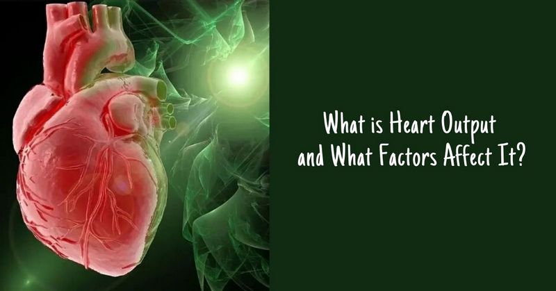 What is Heart Output and What Factors Affect It_